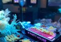 杭州新开的夜总会ktv招聘酒水促销员,90后上可以做夜场招聘_