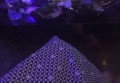 老板招聘要求文案标题（招募精英：岗位需求与应聘指南）